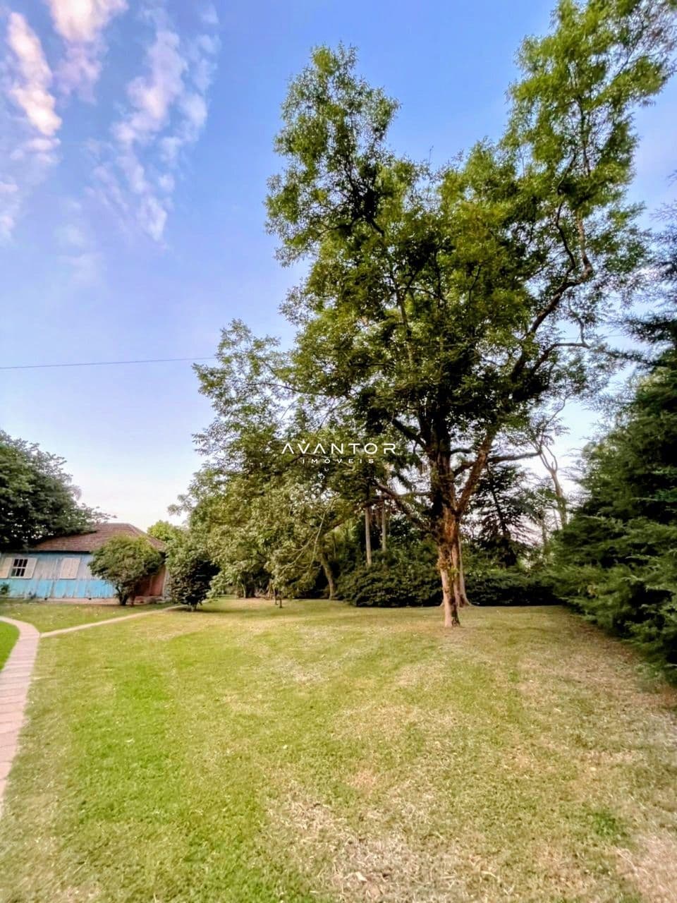 Chácara com 3 quartos à venda em Arroio Grande, Santa Maria/RS — foto 4 de 31