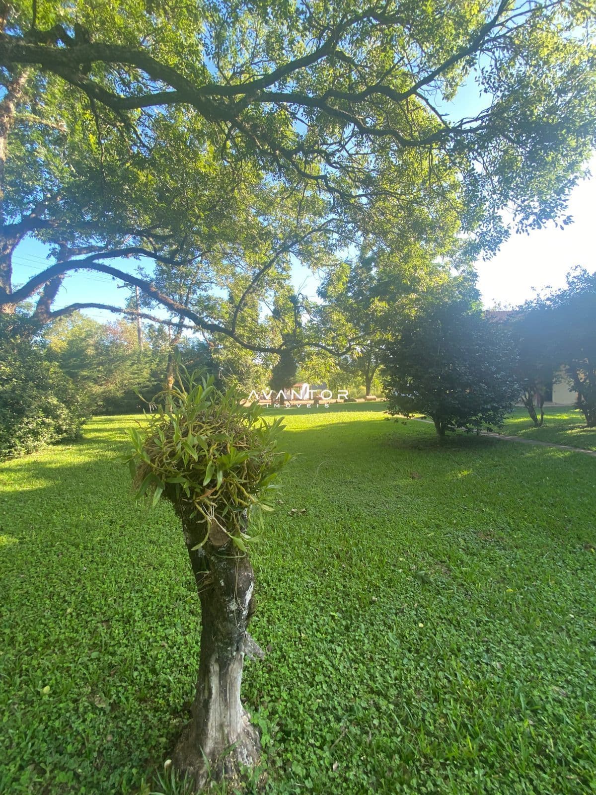 Chácara com 3 quartos à venda em Arroio Grande, Santa Maria/RS — foto 14 de 31