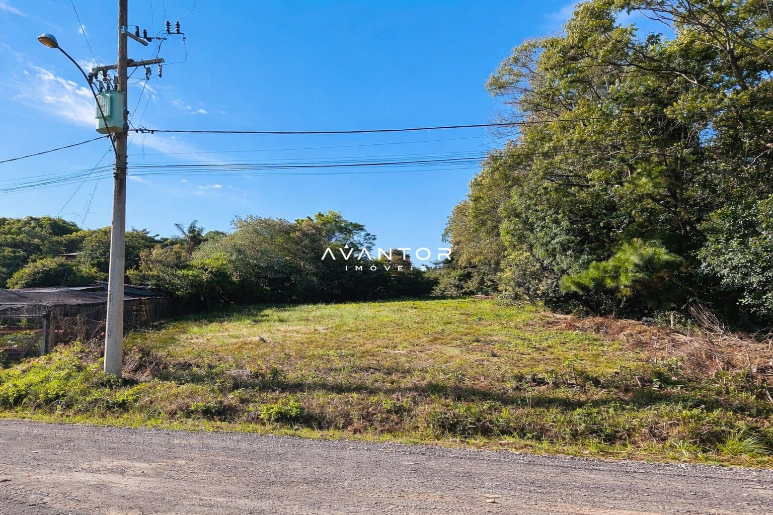 Terreno com vegetação e acesso frontal — Terreno à venda em Novo Pinhal, Itaara/RS