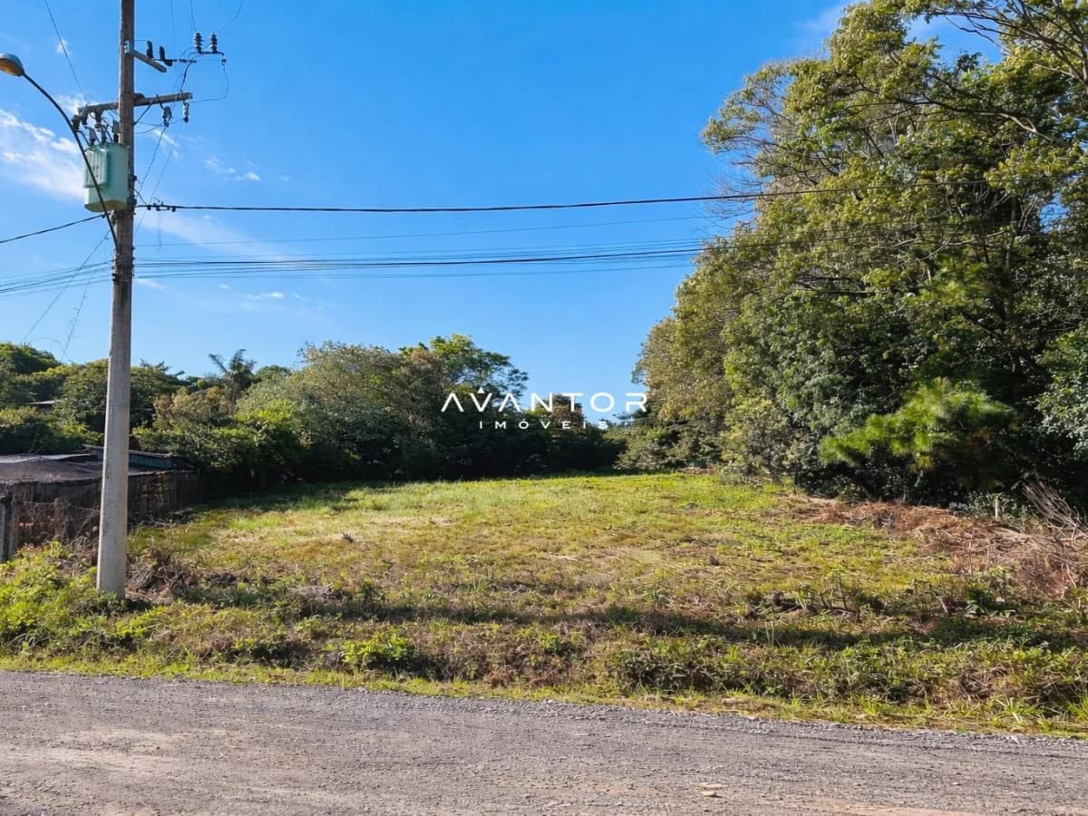 Terreno com vegetação e acesso frontal — Terreno à venda em Novo Pinhal, Itaara/RS