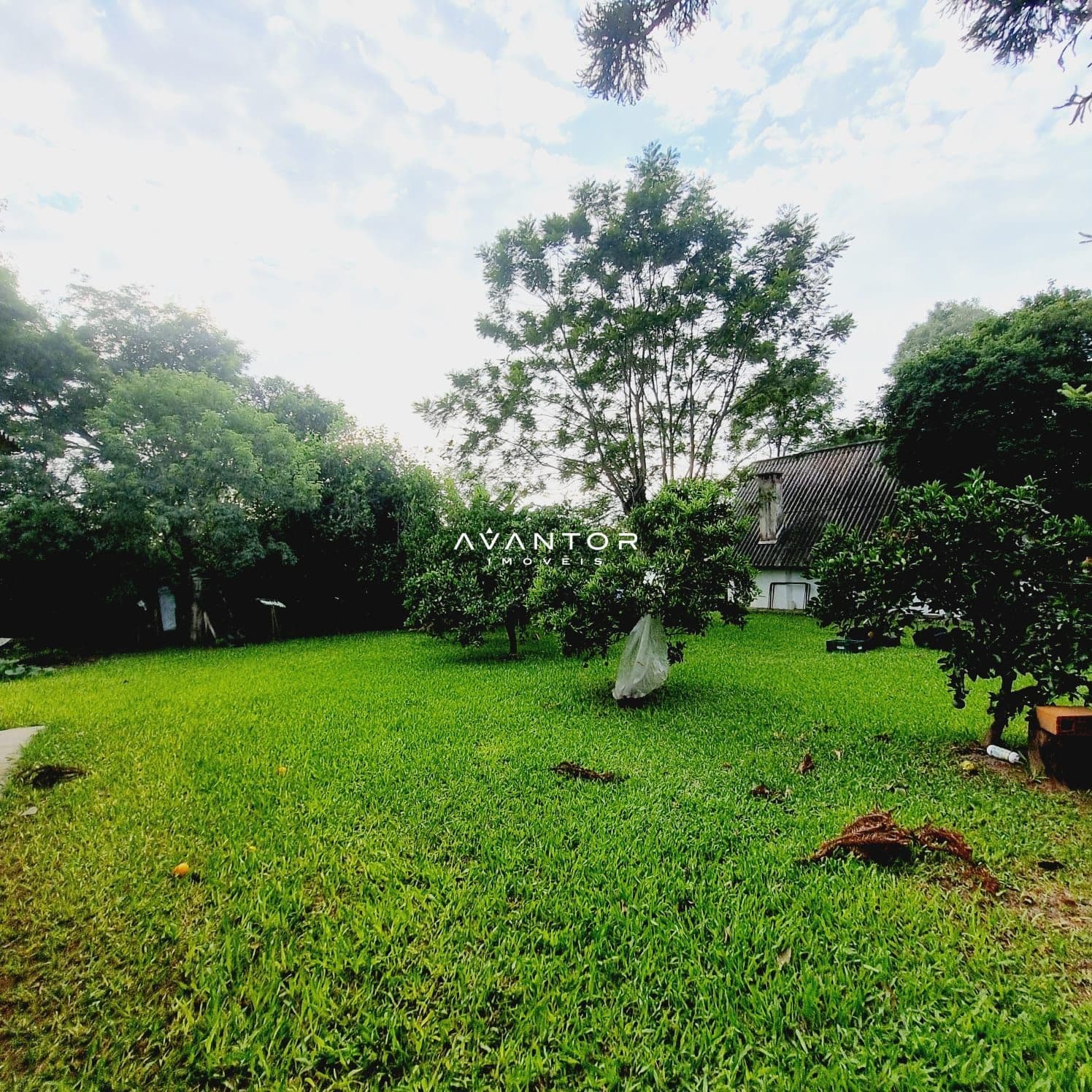 Terreno com árvores e gramado verde — Chácara com 4 quartos à venda em Passo das Tropas, Santa Maria/RS