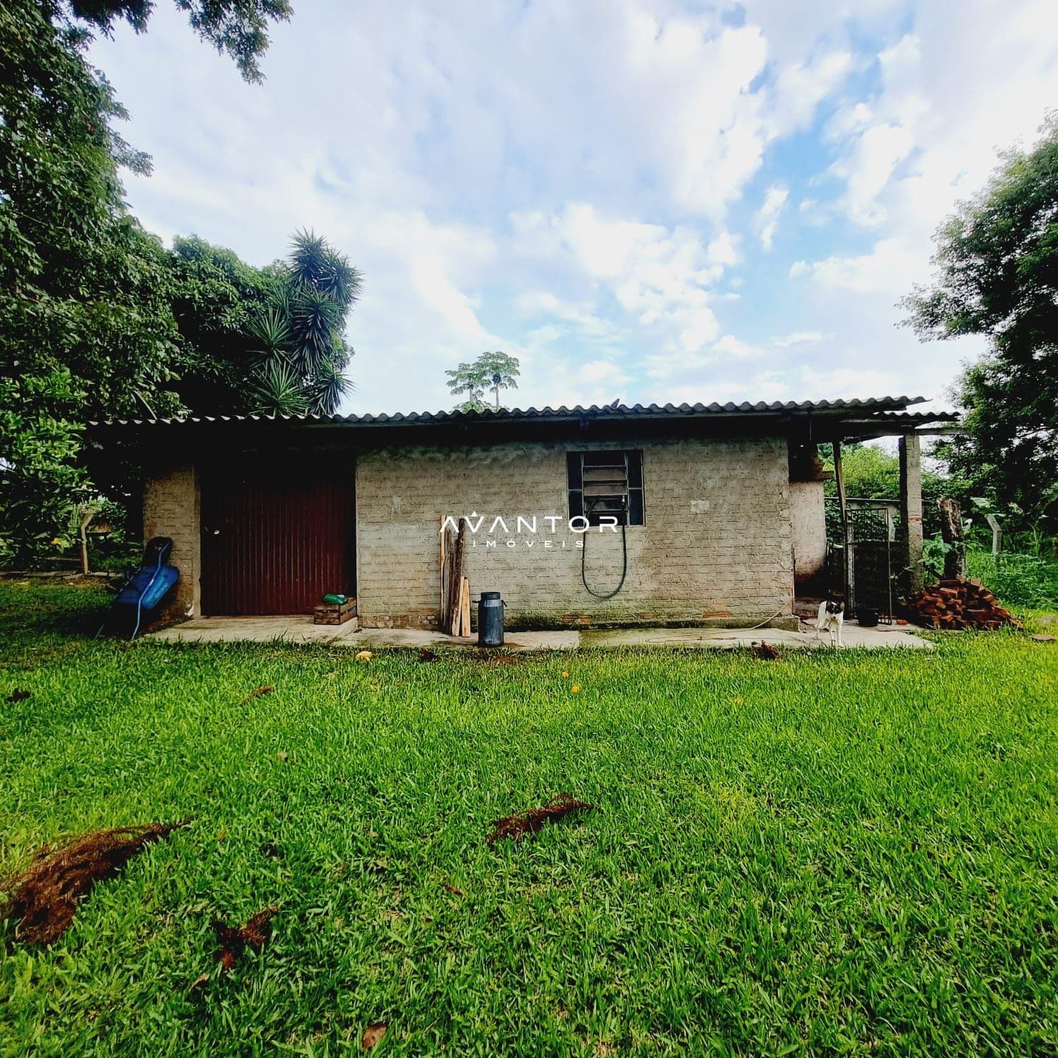 Chácara com 4 quartos à venda em Passo das Tropas, Santa Maria/RS — foto 16 de 20