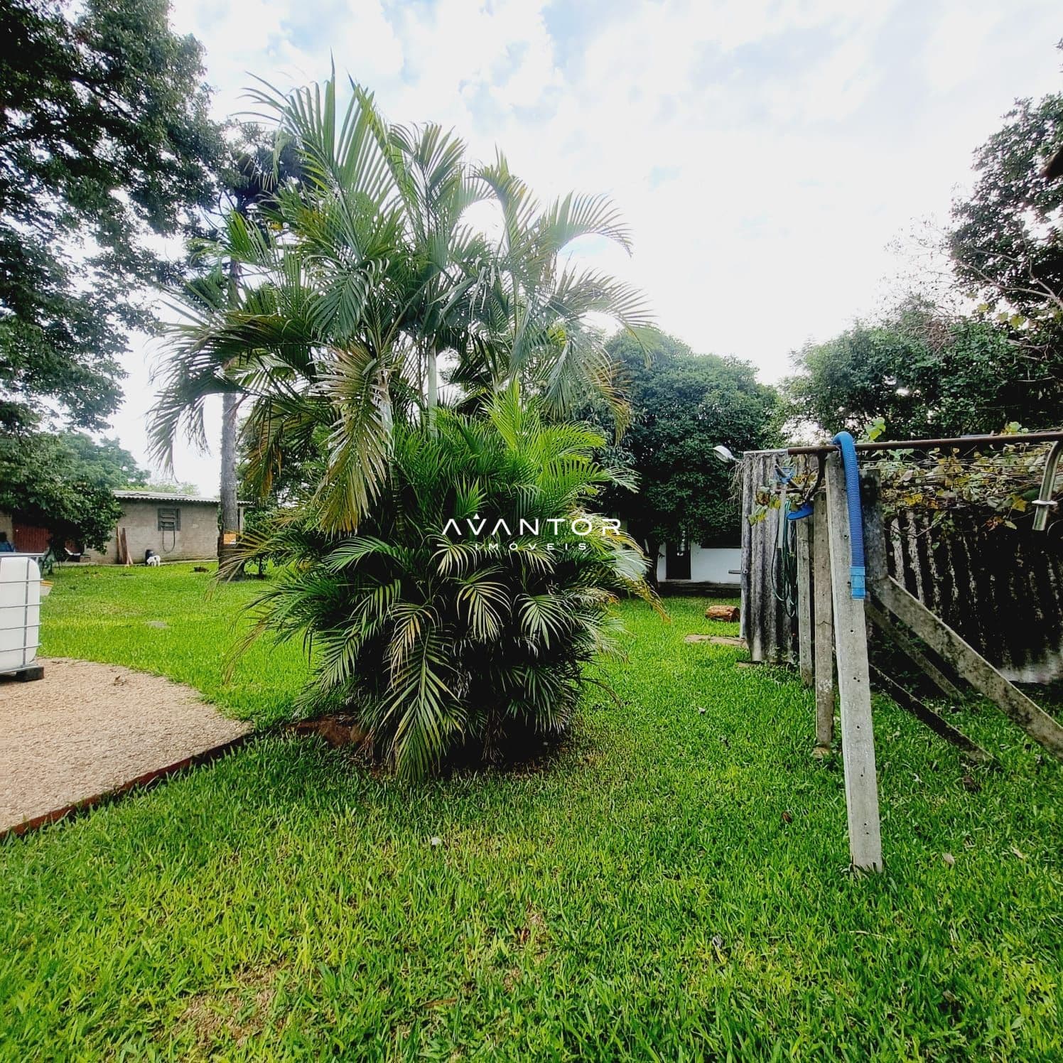 Chácara com 4 quartos à venda em Passo das Tropas, Santa Maria/RS — foto 18 de 20