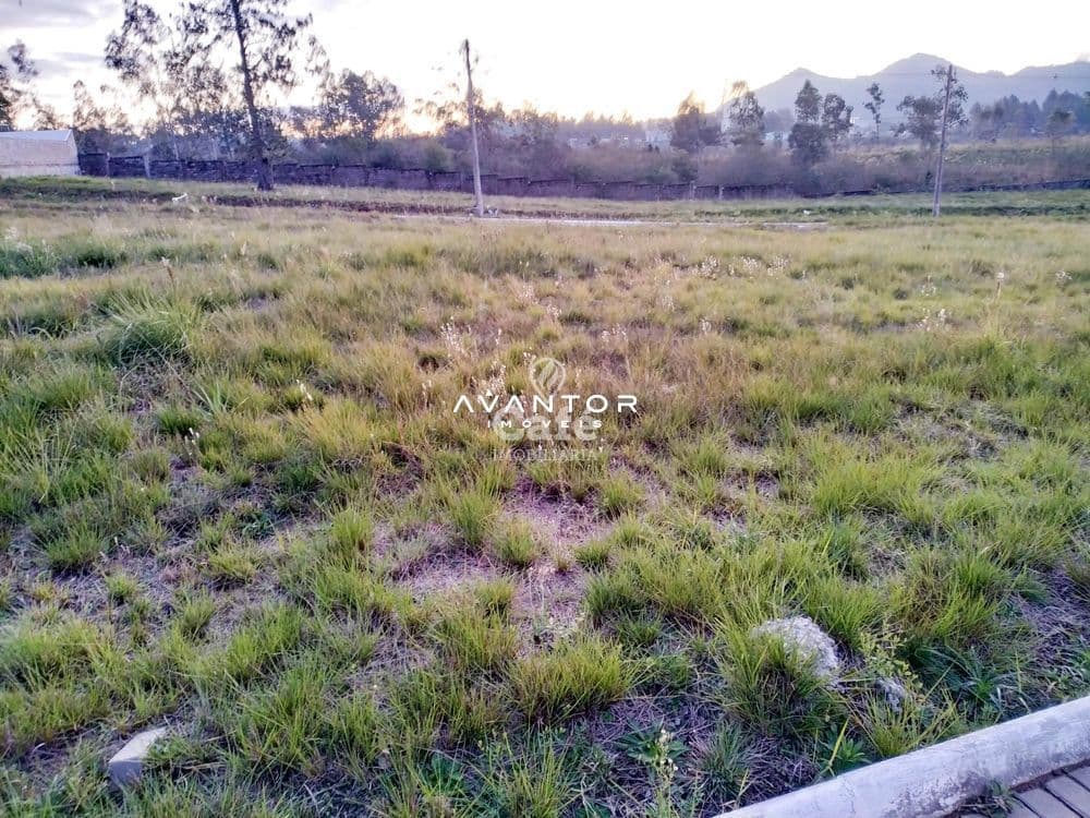 Terreno à venda no Condomínio Viareggio, em Camobi, Santa Maria/RS — foto 3 de 3