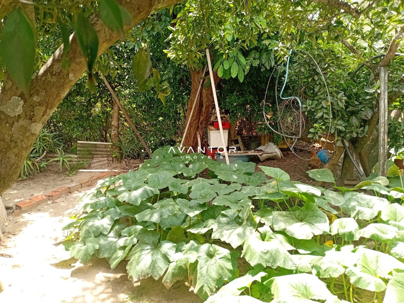 Casa com 2 quartos à venda em Nossa Senhora do Perpétuo Socorro, Santa Maria/RS — foto 7 de 17