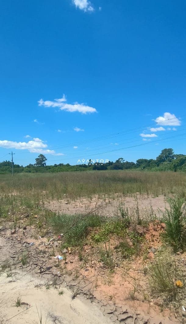 Terreno com vegetação nativa e vista frontal — Terreno à venda em Renascença, Santa Maria/RS