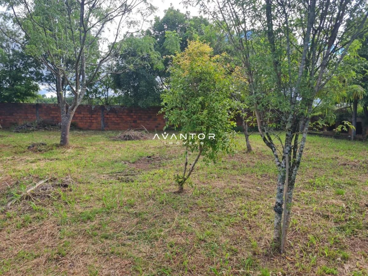 Terreno com árvores e cerca de alvenaria — Terreno à venda em Itaara, Itaara/RS