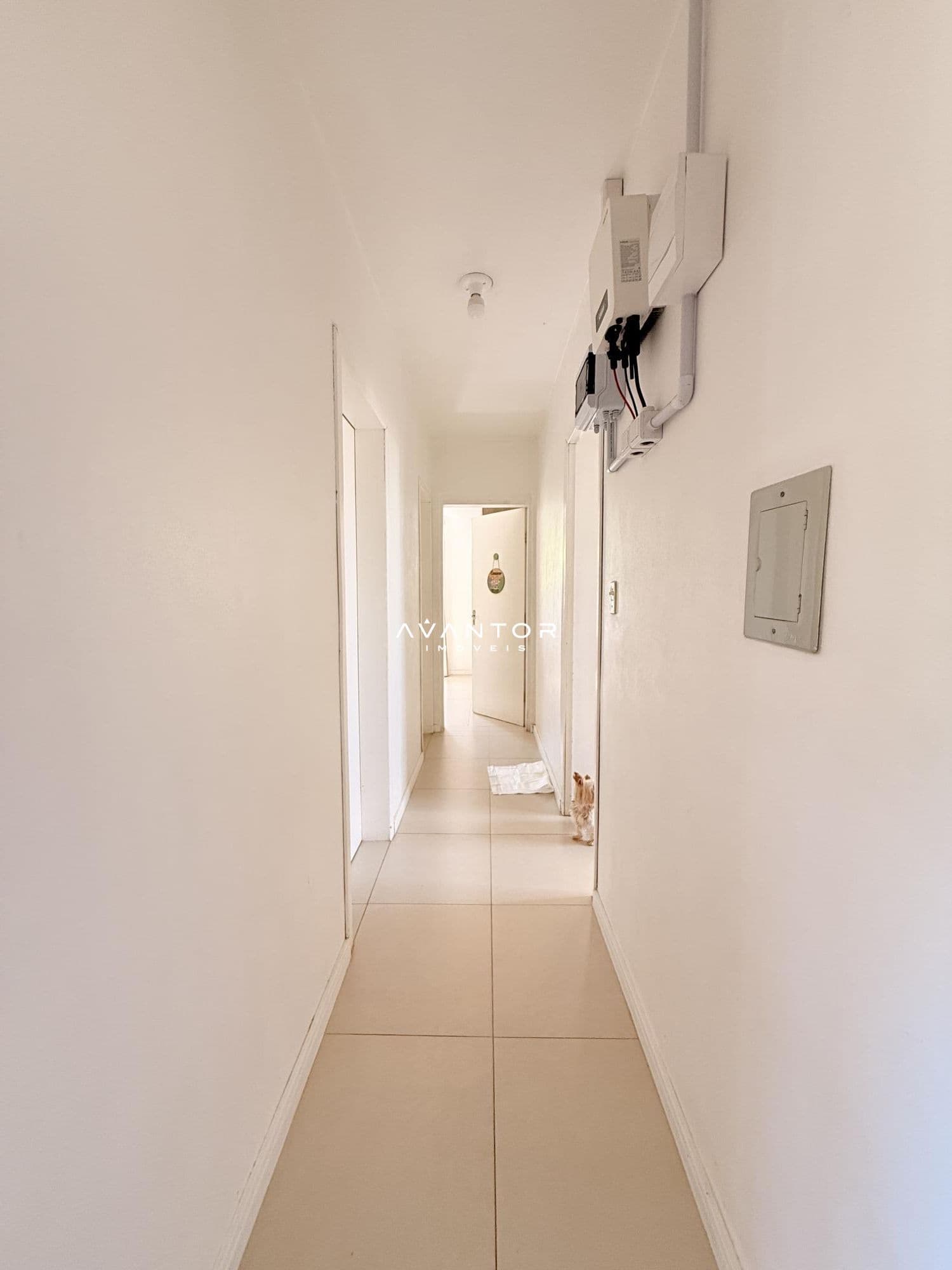 Casa com 3 quartos à venda em Nossa Senhora do Perpétuo Socorro, Santa Maria/RS — foto 15 de 17