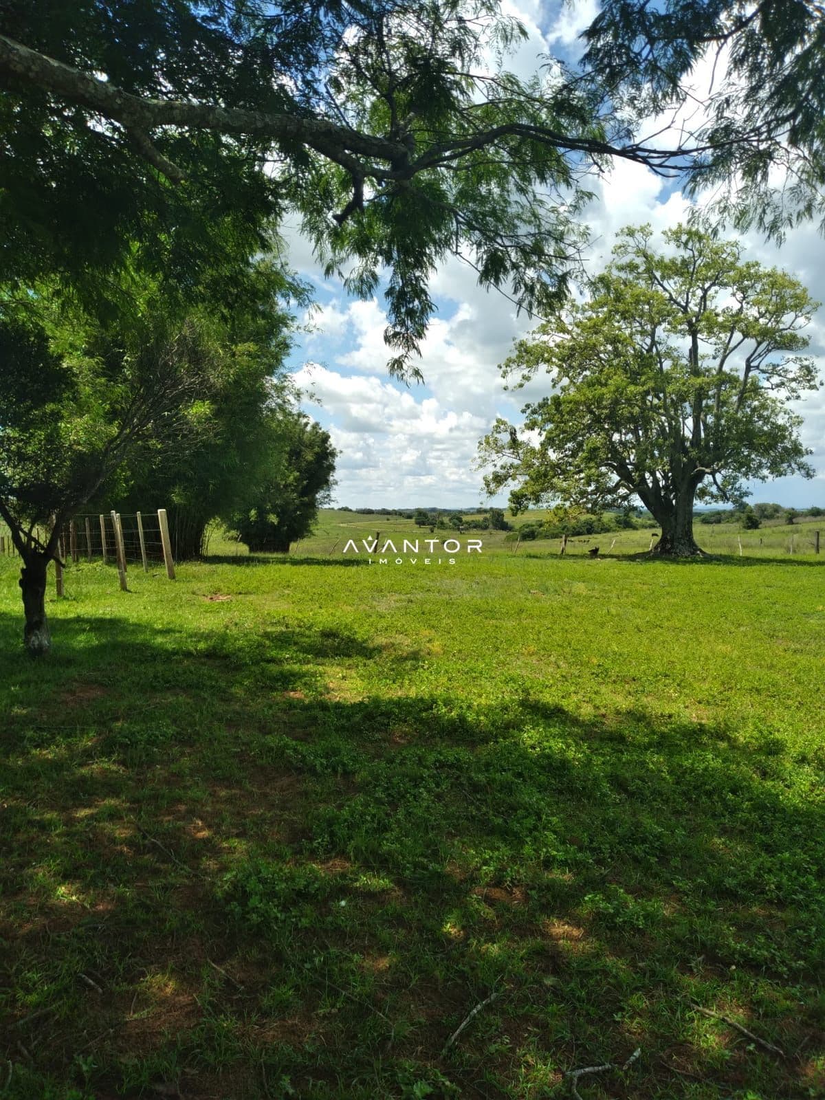 Terreno com árvores e cerca de madeira — Campo à venda em Área Rural de São Gabriel, São Gabriel/RS
