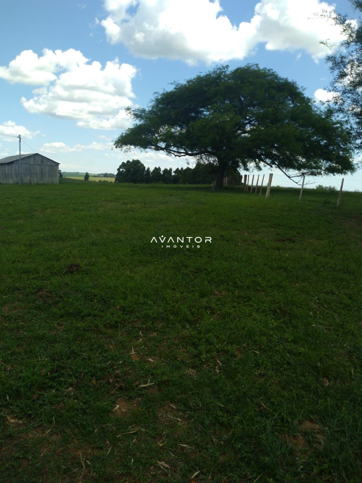 Campo à venda em Área Rural de São Gabriel, São Gabriel/RS — foto 2 de 6