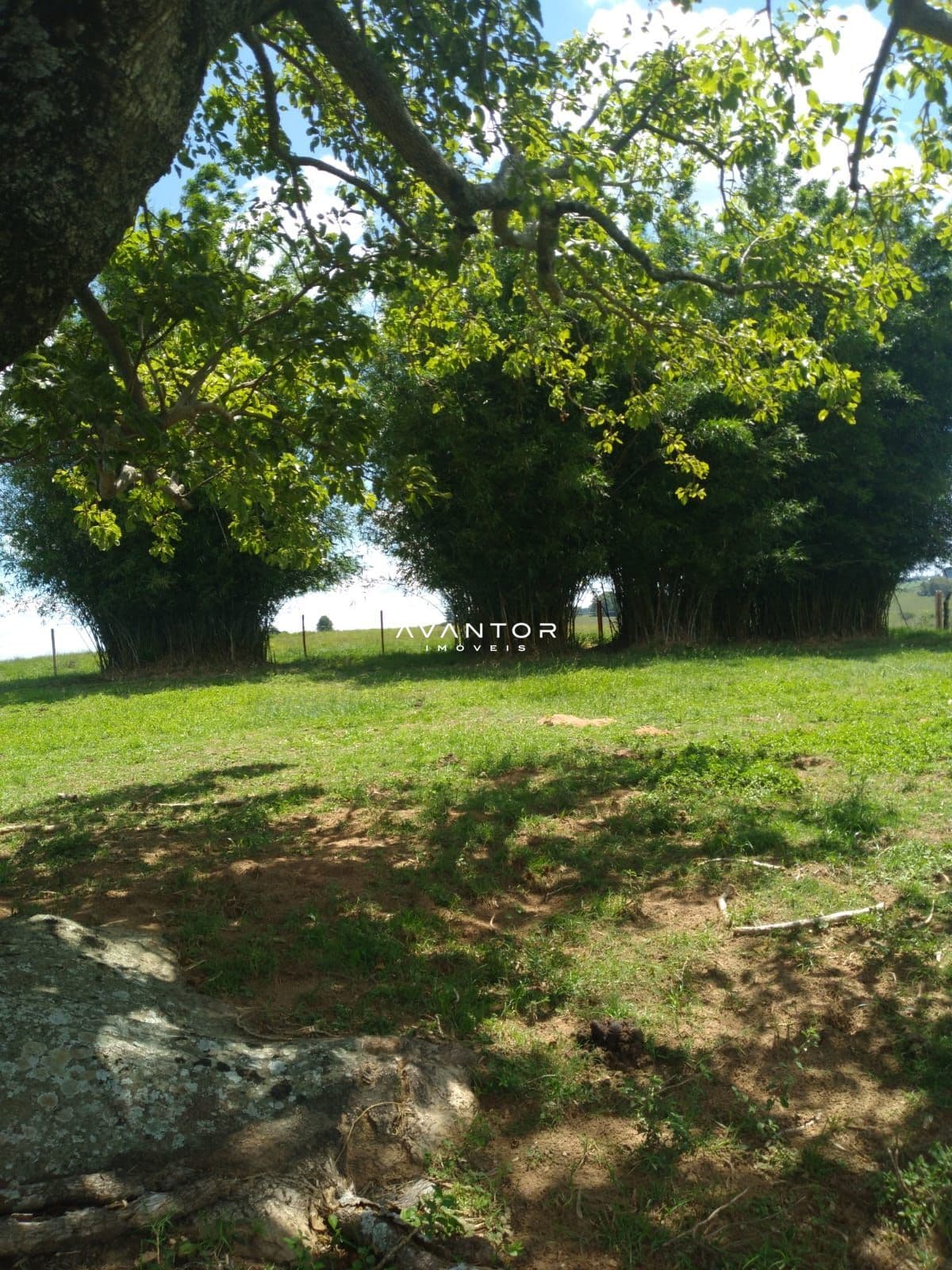 Campo à venda em Área Rural de São Gabriel, São Gabriel/RS — foto 3 de 6