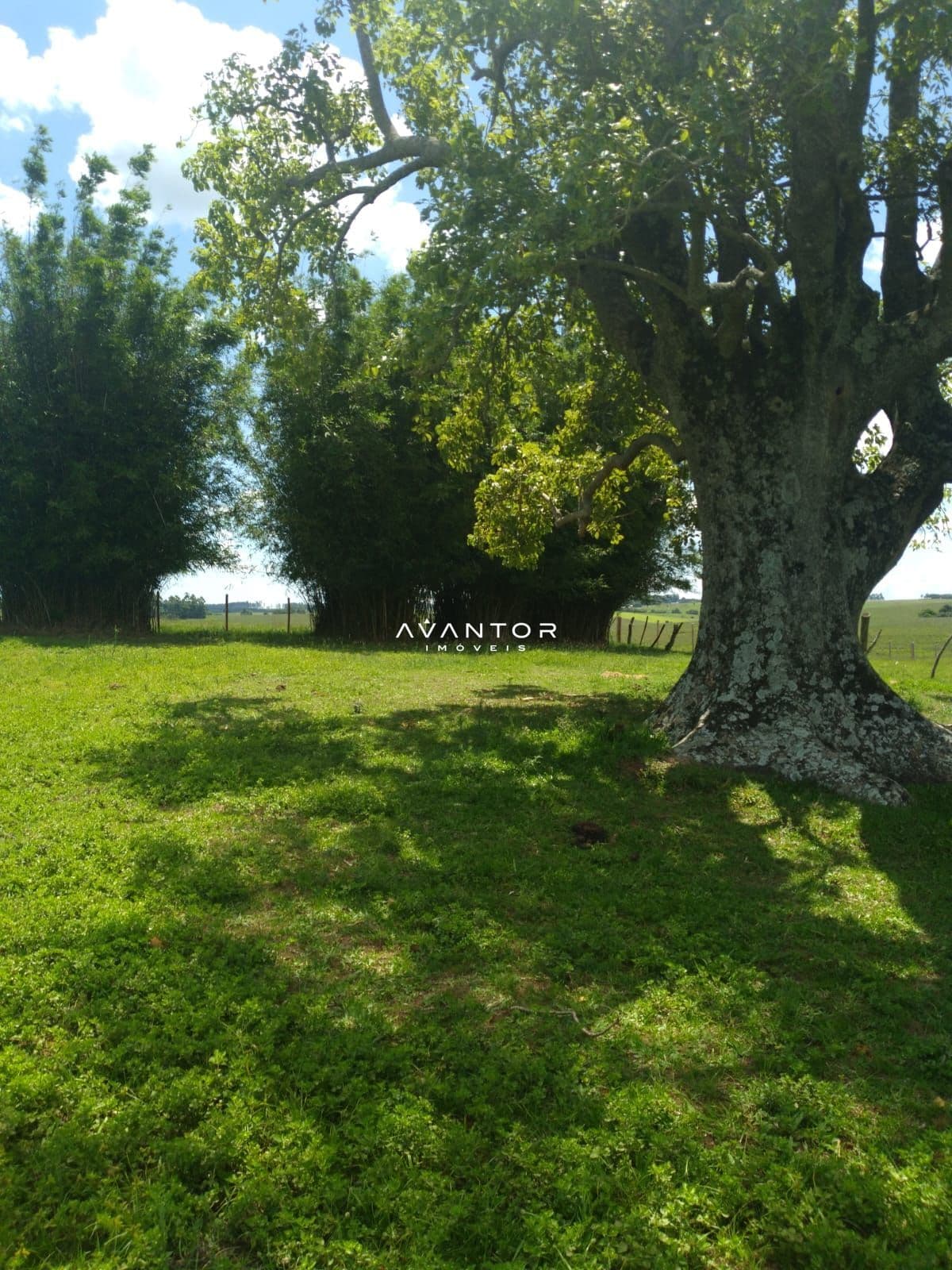 Campo à venda em Área Rural de São Gabriel, São Gabriel/RS — foto 4 de 6