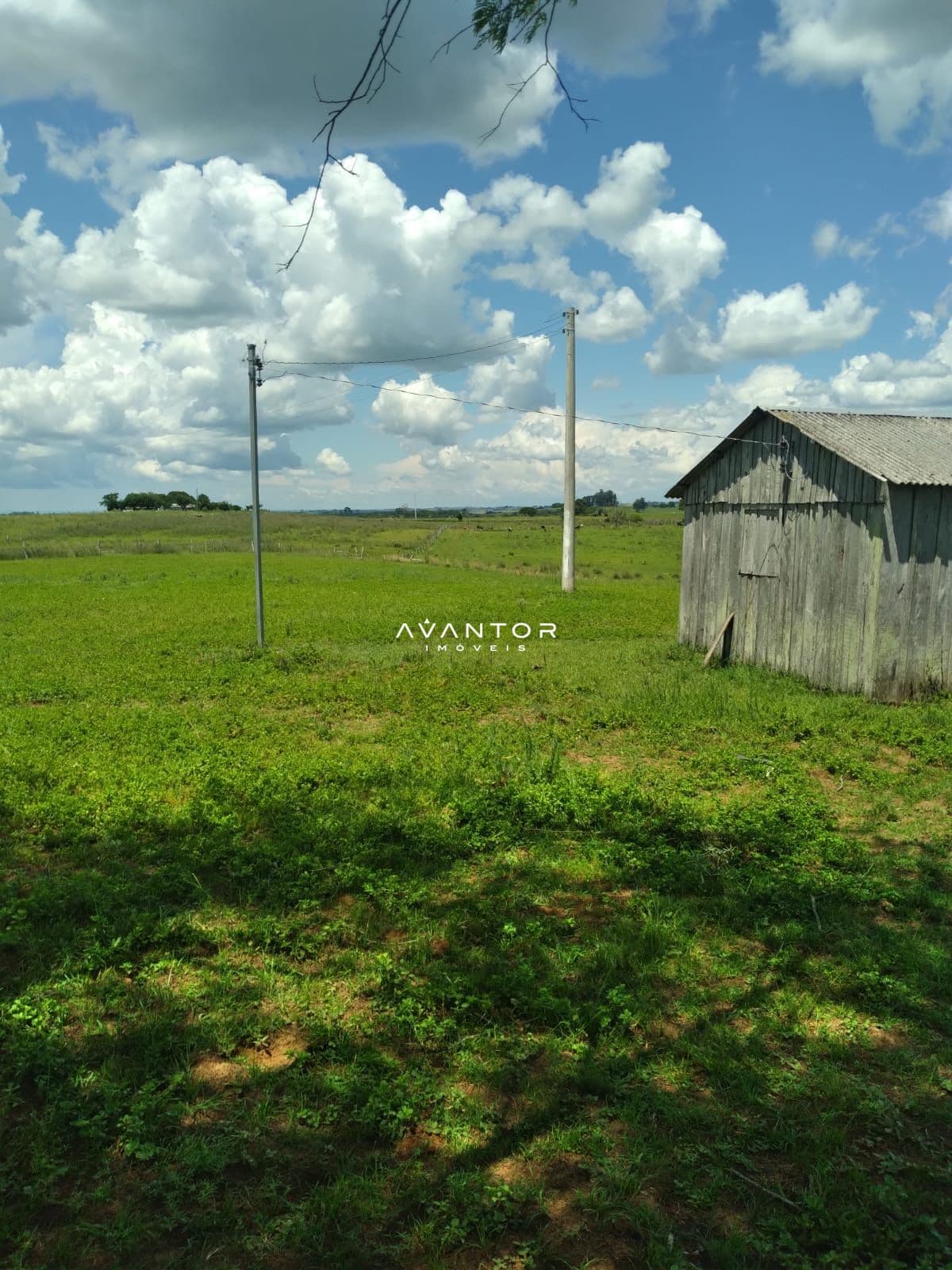 Campo à venda em Área Rural de São Gabriel, São Gabriel/RS — foto 5 de 6