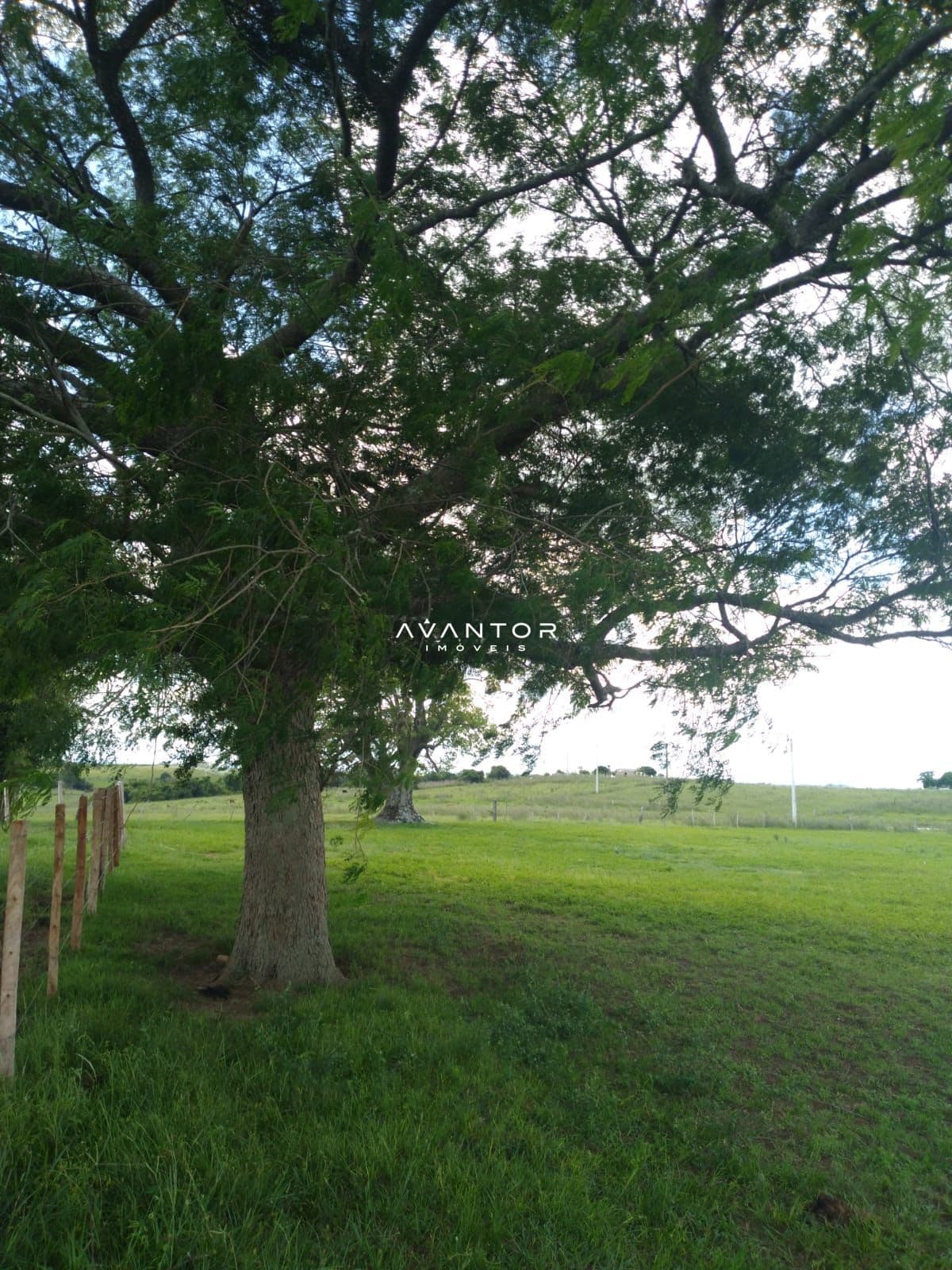Campo à venda em Área Rural de São Gabriel, São Gabriel/RS — foto 6 de 6