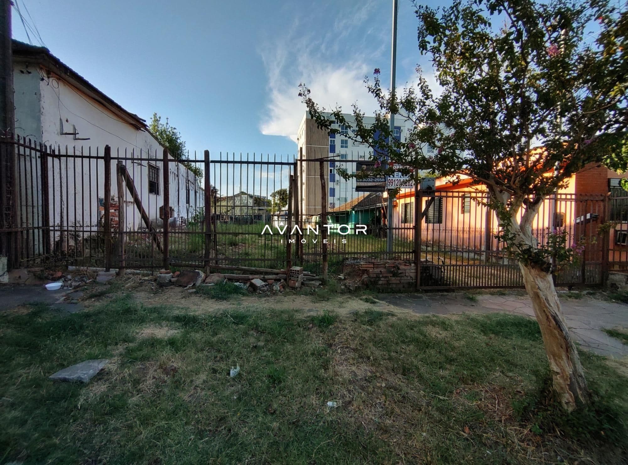 Pátio com cerca e árvores — Terreno à venda em Nossa Senhora das Dores, Santa Maria/RS