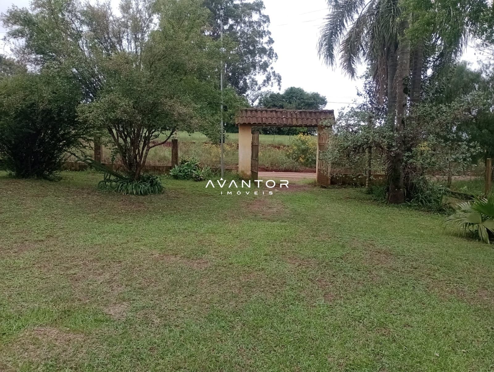 Pátio com árvores e construção rústica — Chácara com 2 quartos à venda em Centro, São Martinho da Serra/RS