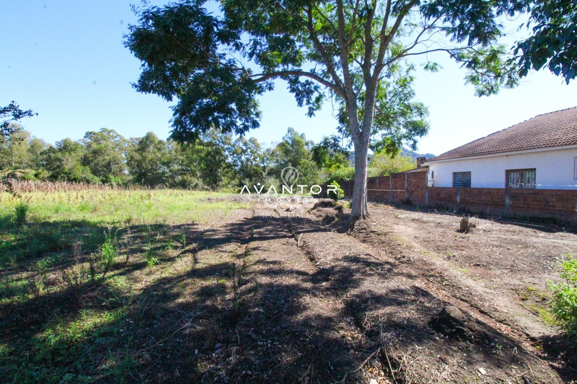 Terreno à venda em Pé de Plátano, Santa Maria/RS — foto 2 de 2