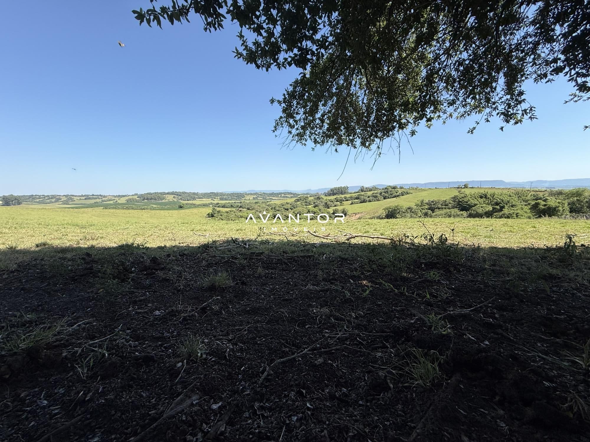 Campo à venda em Interior, Restinga Seca/RS — foto 5 de 12
