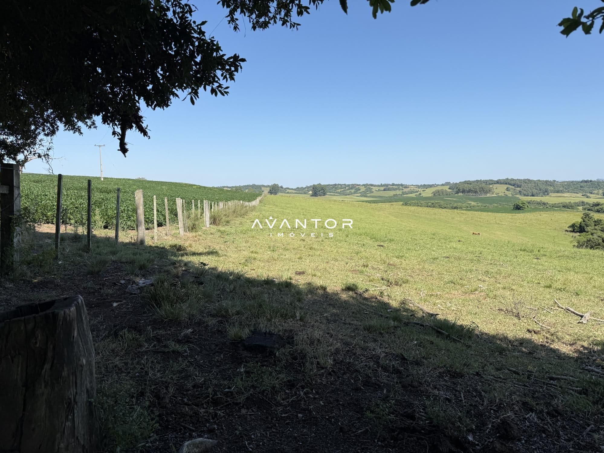 Campo à venda em Interior, Restinga Seca/RS — foto 6 de 12