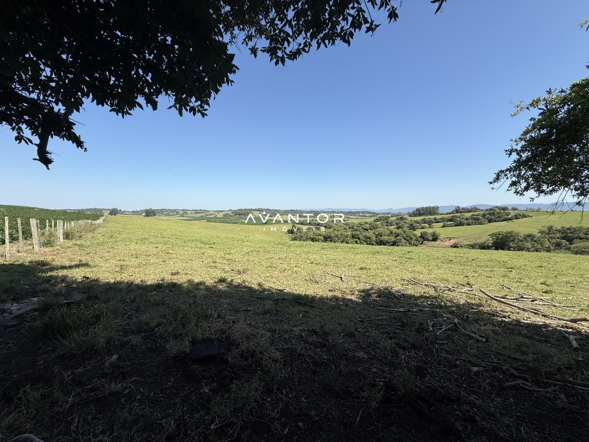 Campo à venda em Interior, Restinga Seca/RS — foto 7 de 12