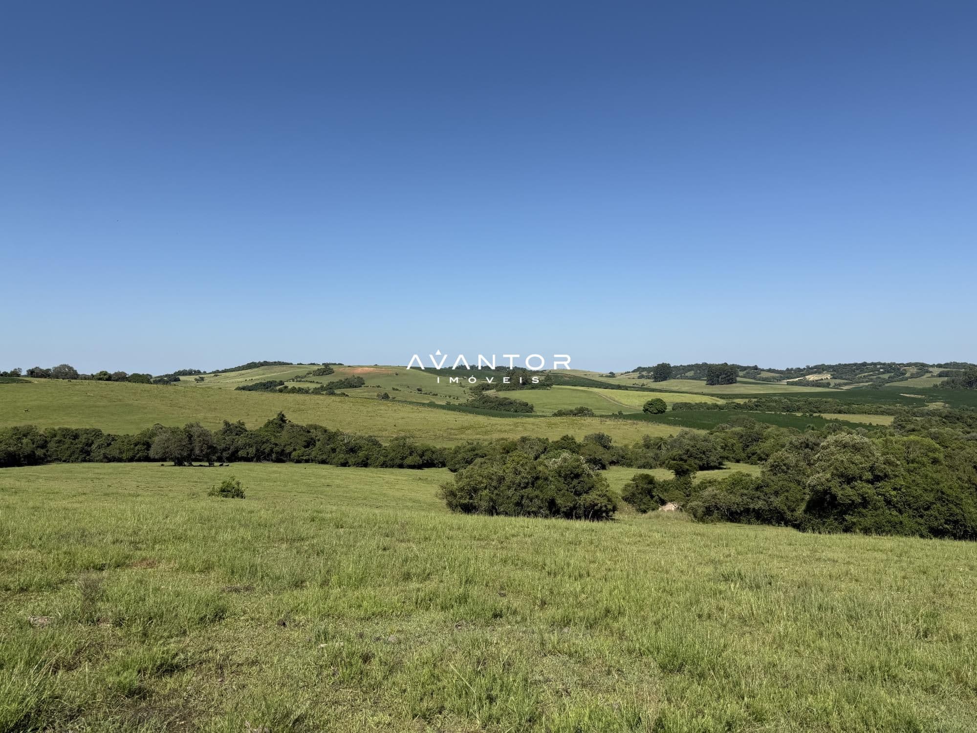Campo à venda em Interior, Restinga Seca/RS — foto 10 de 12