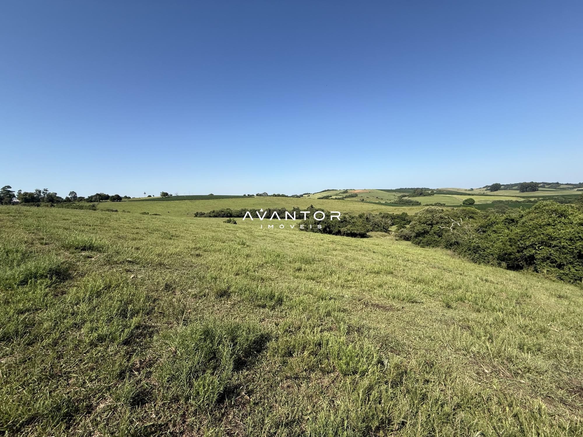 Campo à venda em Interior, Restinga Seca/RS — foto 11 de 12