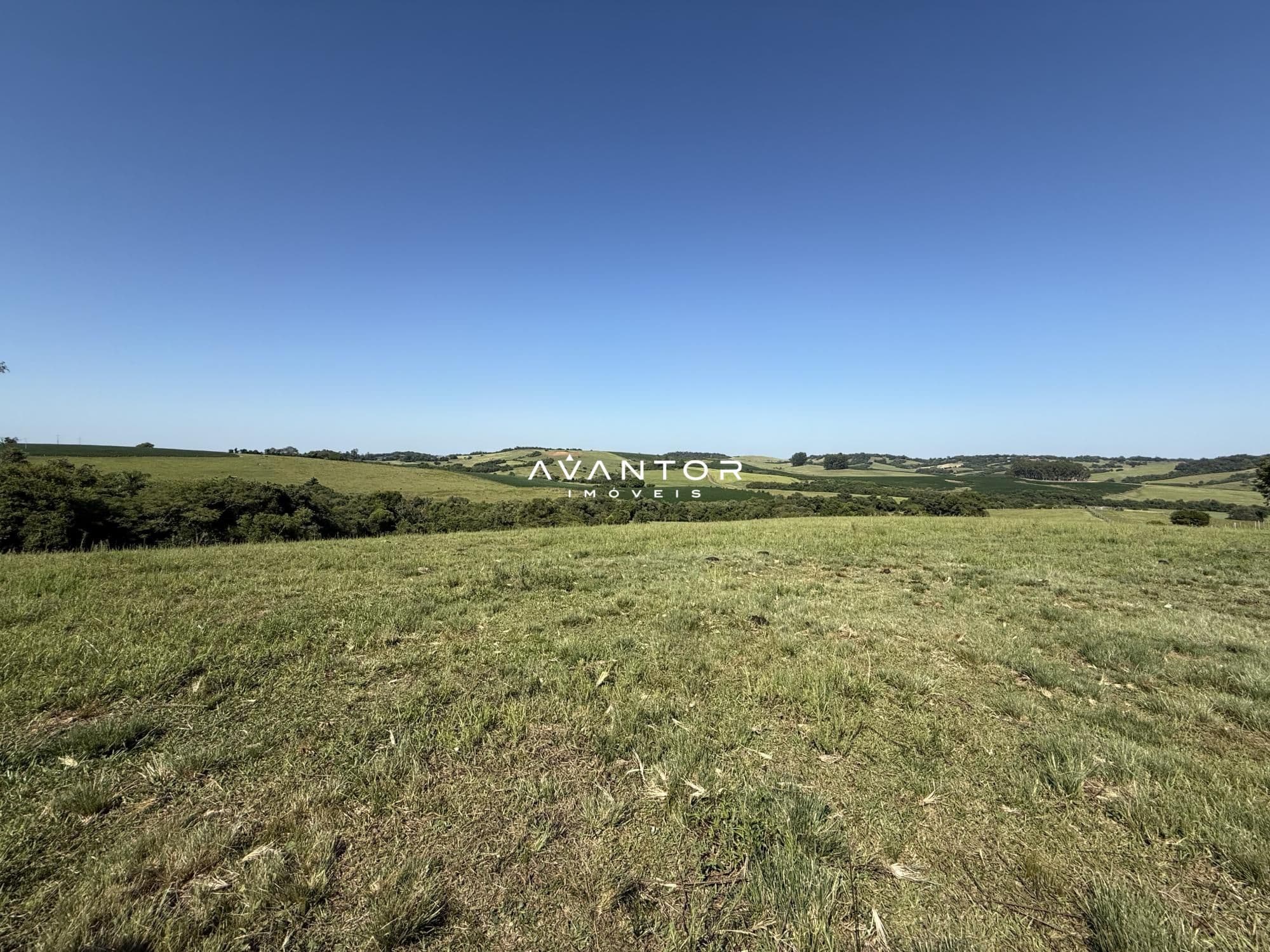 Campo à venda em Interior, Restinga Seca/RS — foto 12 de 12