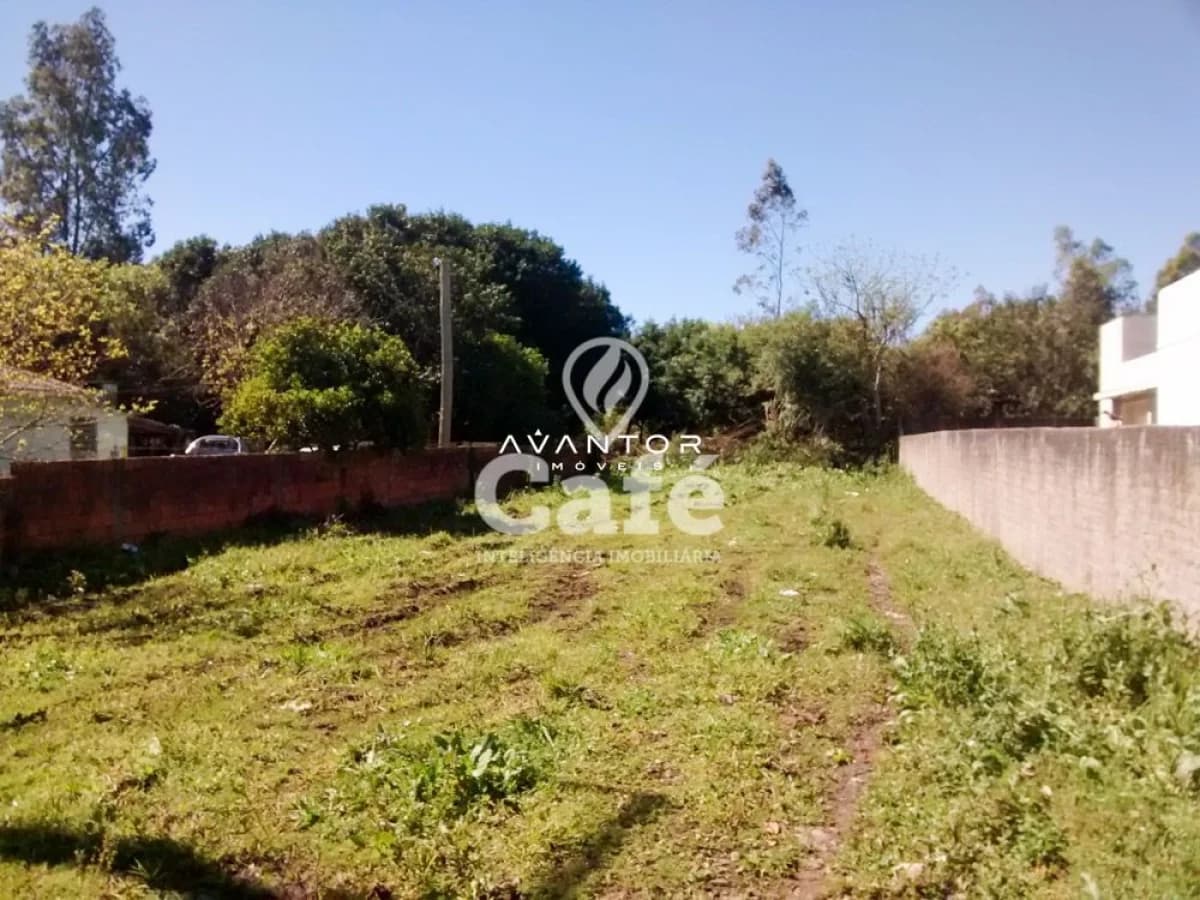 Terreno com vegetação e muros laterais — Terreno à venda em São José, Santa Maria/RS