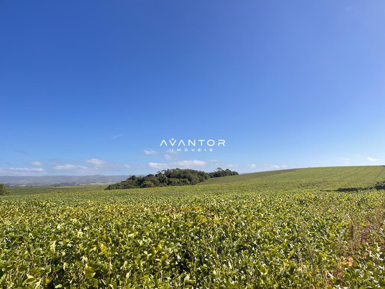 Campo à venda em Boca do Monte, Santa Maria/RS — foto 3 de 8