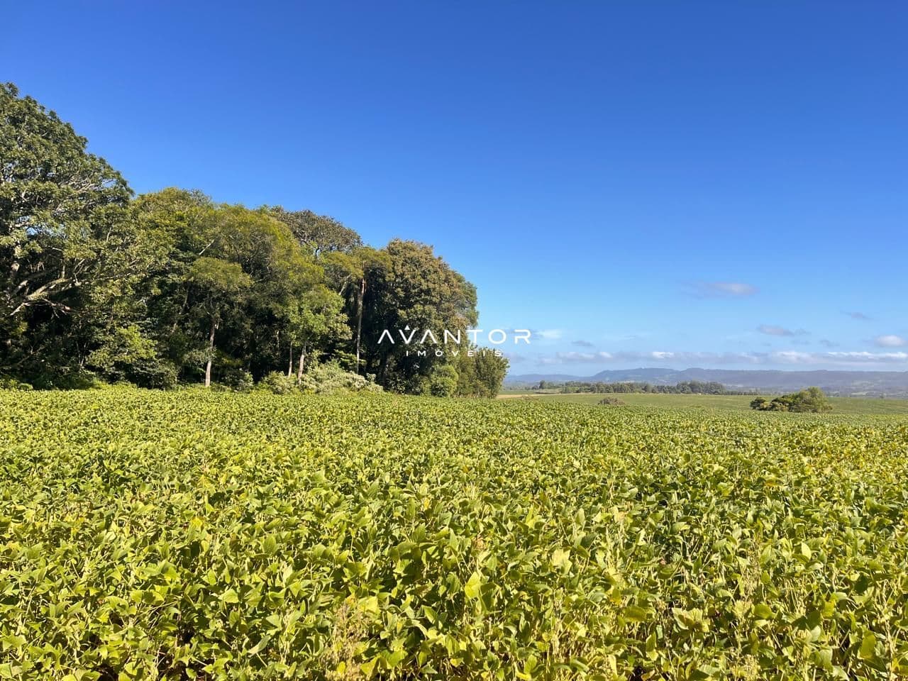 Campo à venda em Boca do Monte, Santa Maria/RS — foto 4 de 8