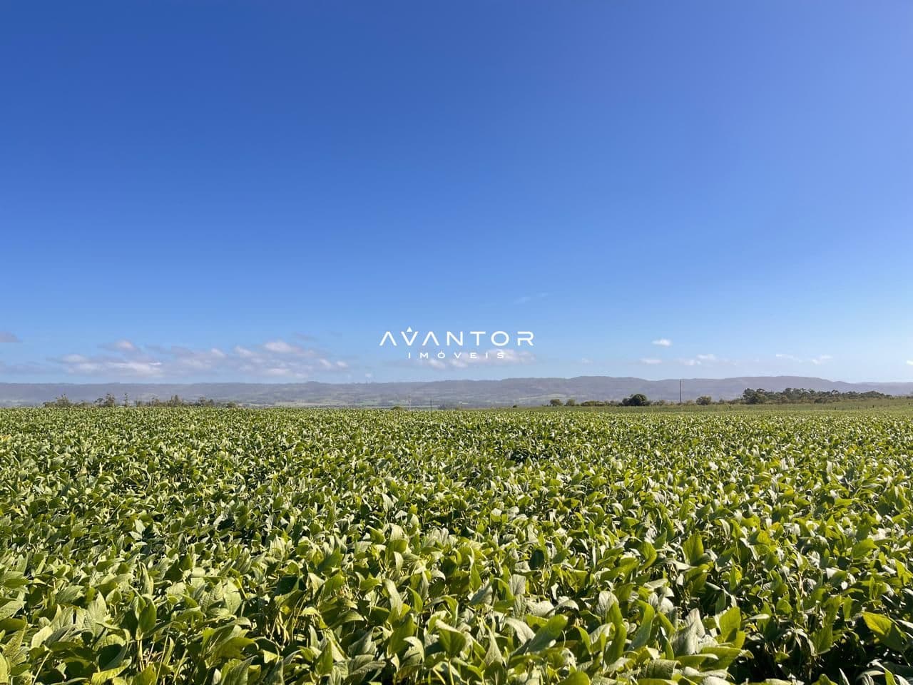 Campo à venda em Boca do Monte, Santa Maria/RS — foto 5 de 8