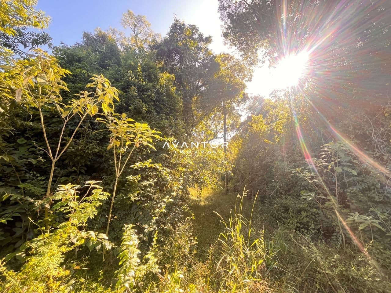 Campo à venda em Boca do Monte, Santa Maria/RS — foto 7 de 8