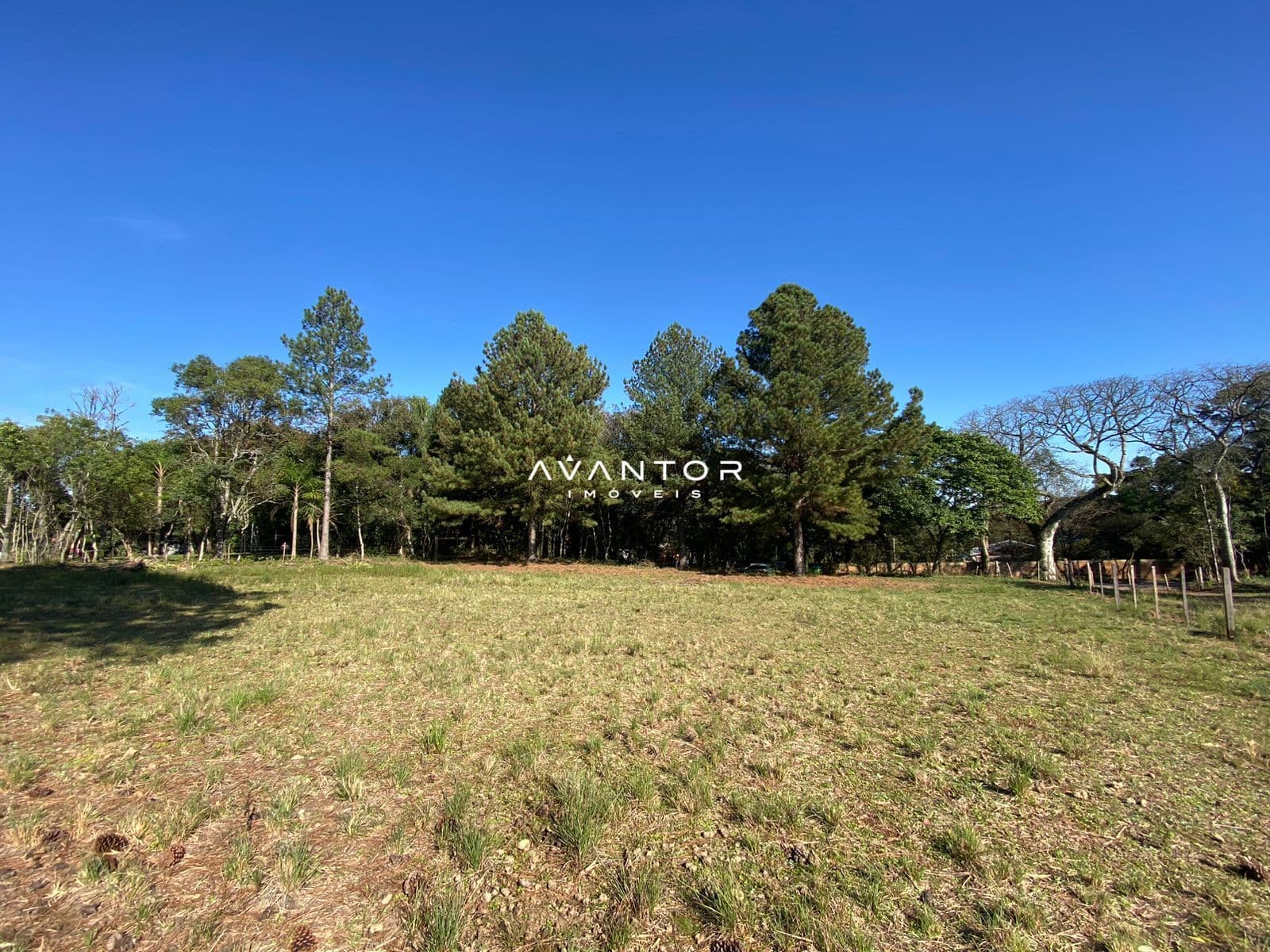 Terreno com árvores e pasto — Terreno à venda em Parque Serrano I, Itaara/RS