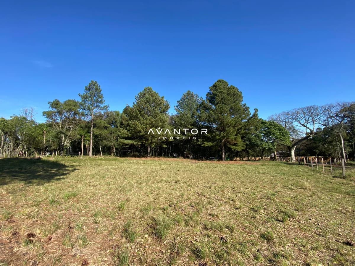 Terreno com árvores nativas — Terreno à venda em Parque Serrano I, Itaara/RS