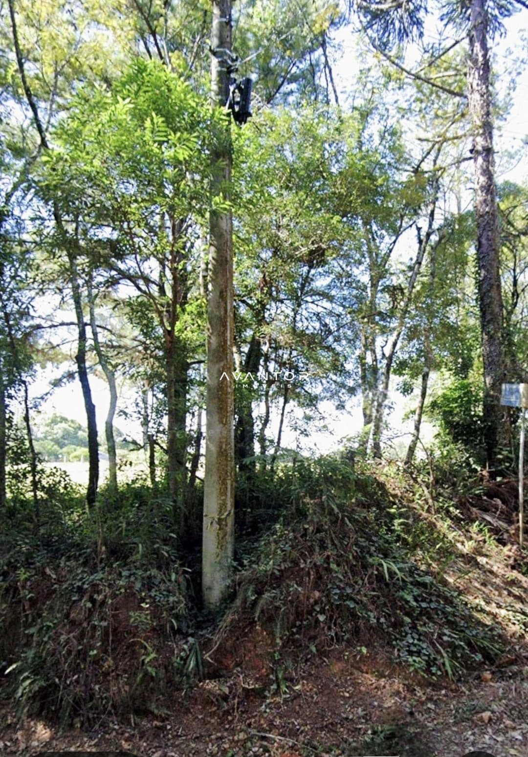 Terreno à venda em Parque Serrano I, Itaara/RS — foto 2 de 3