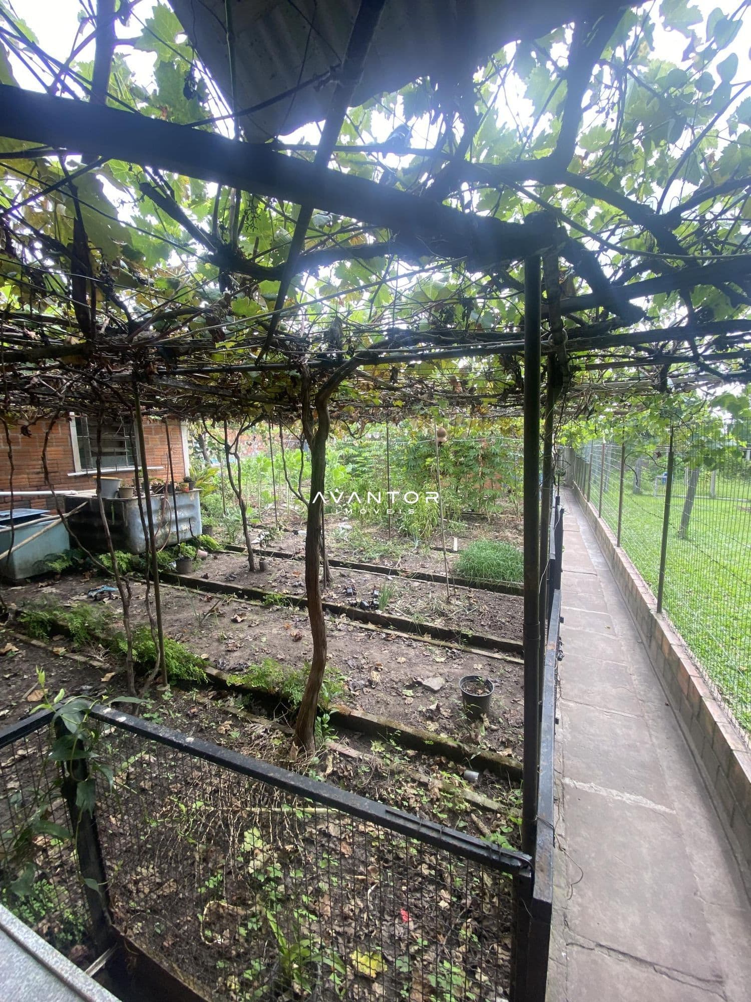 Casa com 2 quartos à venda em Pinheiro Machado, Santa Maria/RS — foto 9 de 12