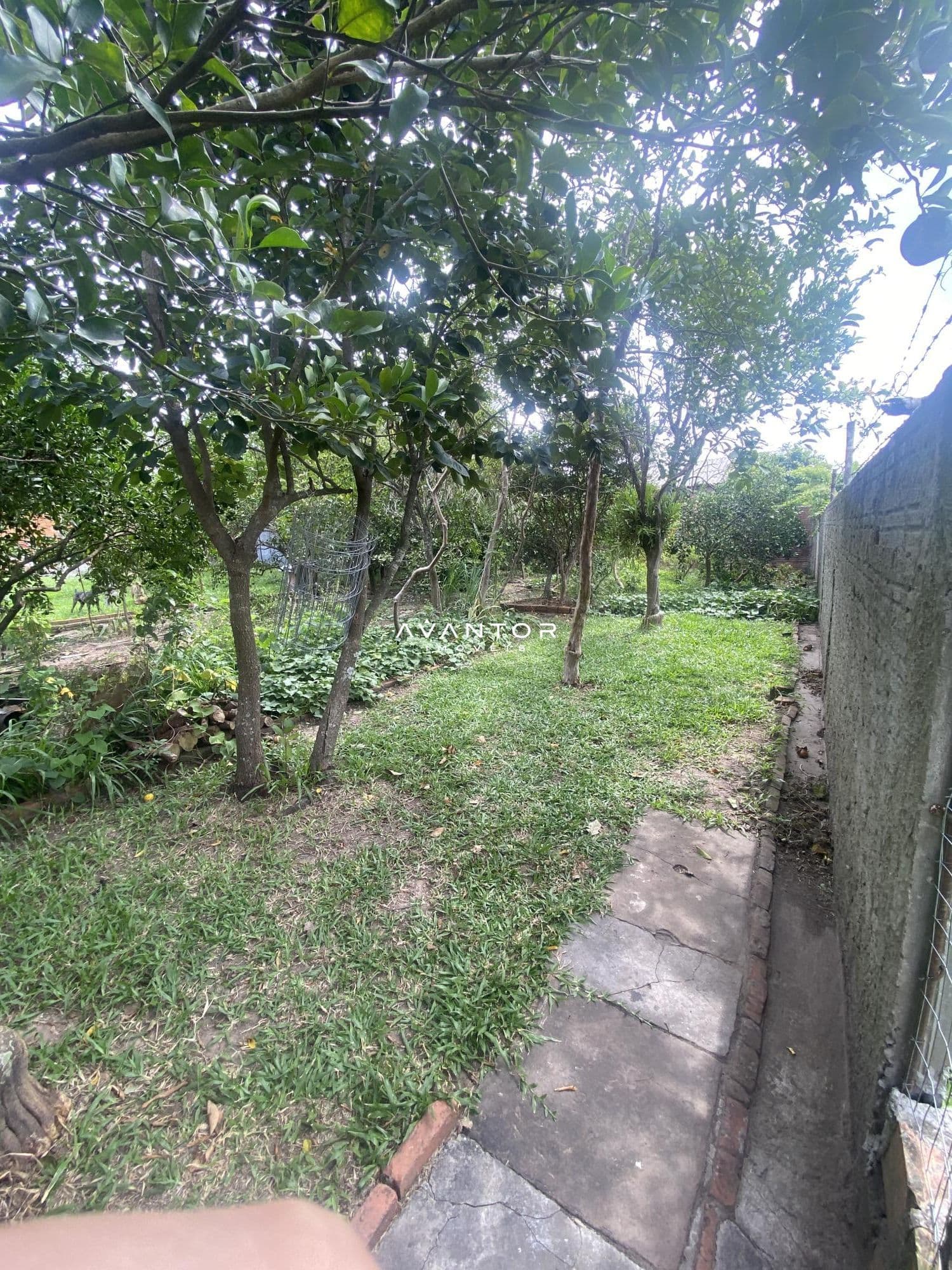Casa com 2 quartos à venda em Pinheiro Machado, Santa Maria/RS — foto 10 de 12