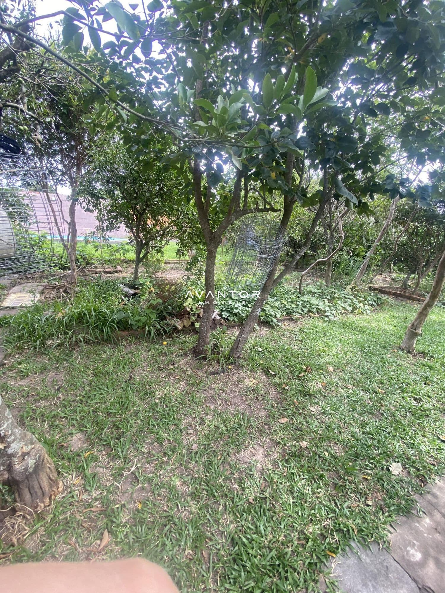 Casa com 2 quartos à venda em Pinheiro Machado, Santa Maria/RS — foto 11 de 12
