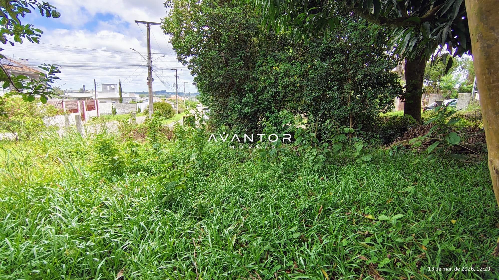 Terreno à venda em Dom Antônio Reis, Santa Maria/RS — foto 4 de 4