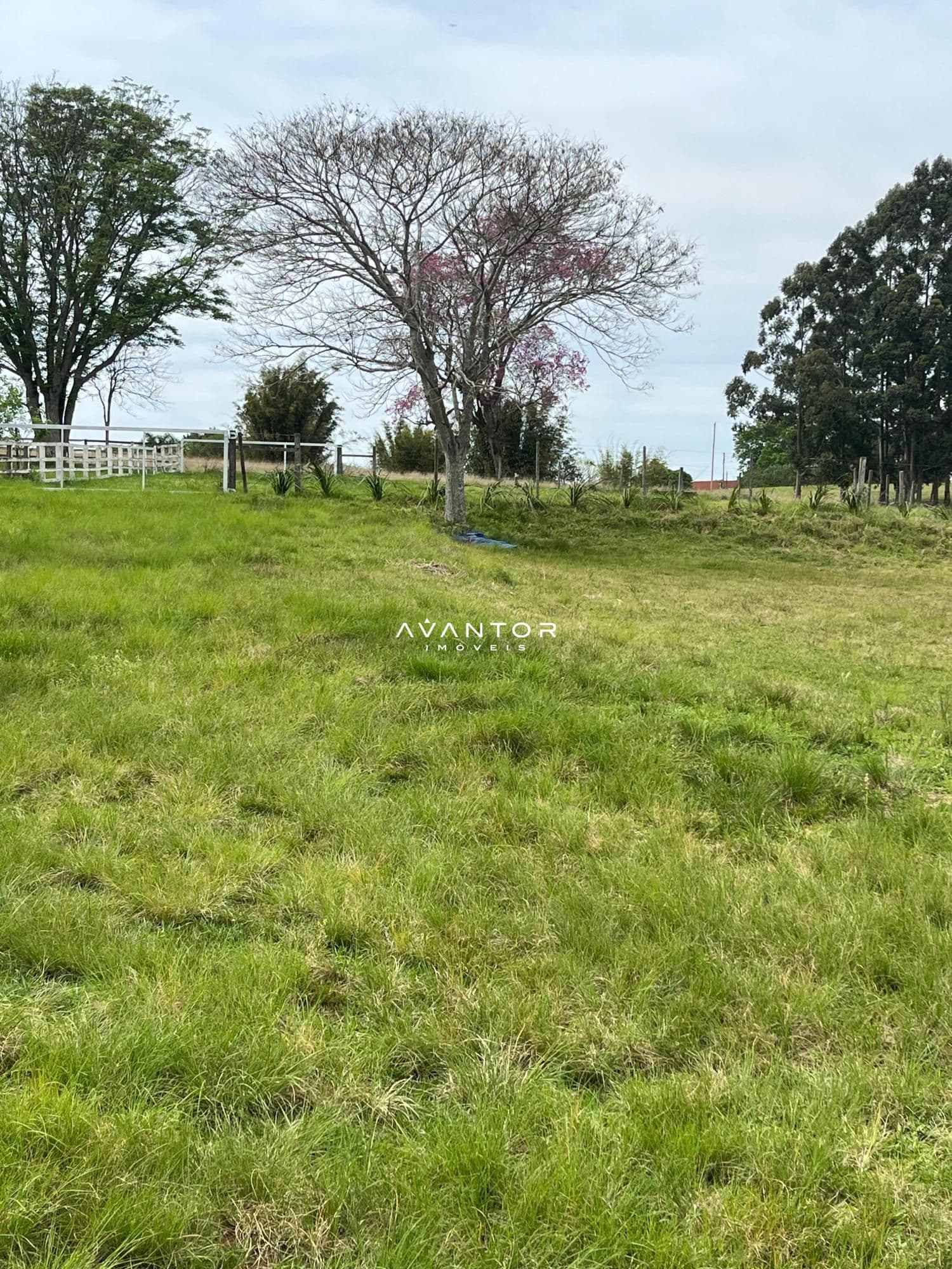 Chácara com 2 quartos à venda em Arroio do Só, Santa Maria/RS — foto 5 de 17