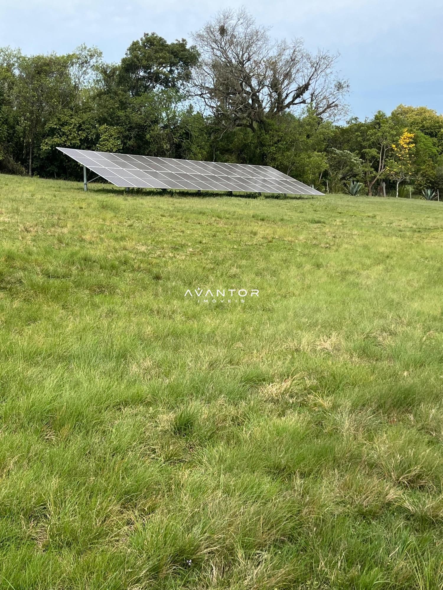 Chácara com 2 quartos à venda em Arroio do Só, Santa Maria/RS — foto 14 de 17