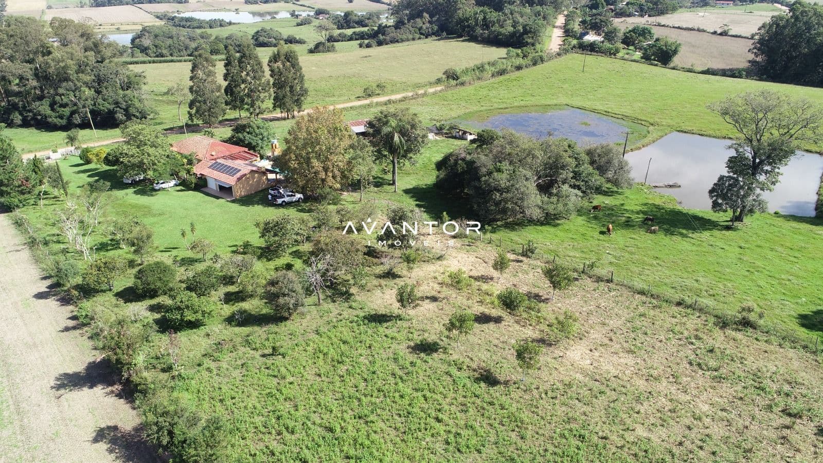 Chácara com 4 quartos à venda em Zona rural, Restinga Seca/RS — foto 4 de 7