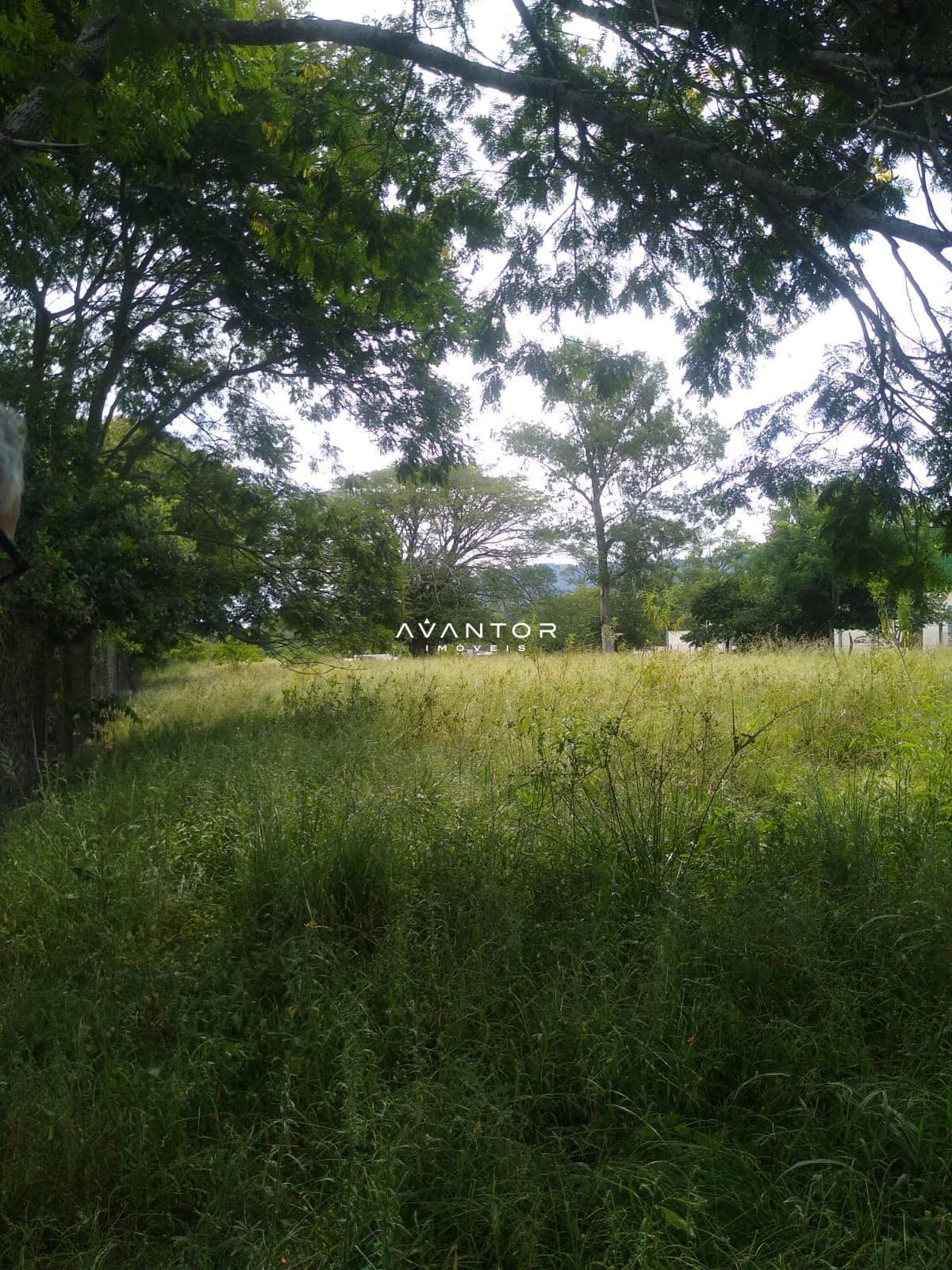 Terreno com vegetação e árvores — Terreno à venda em Centro, Jaguari/RS