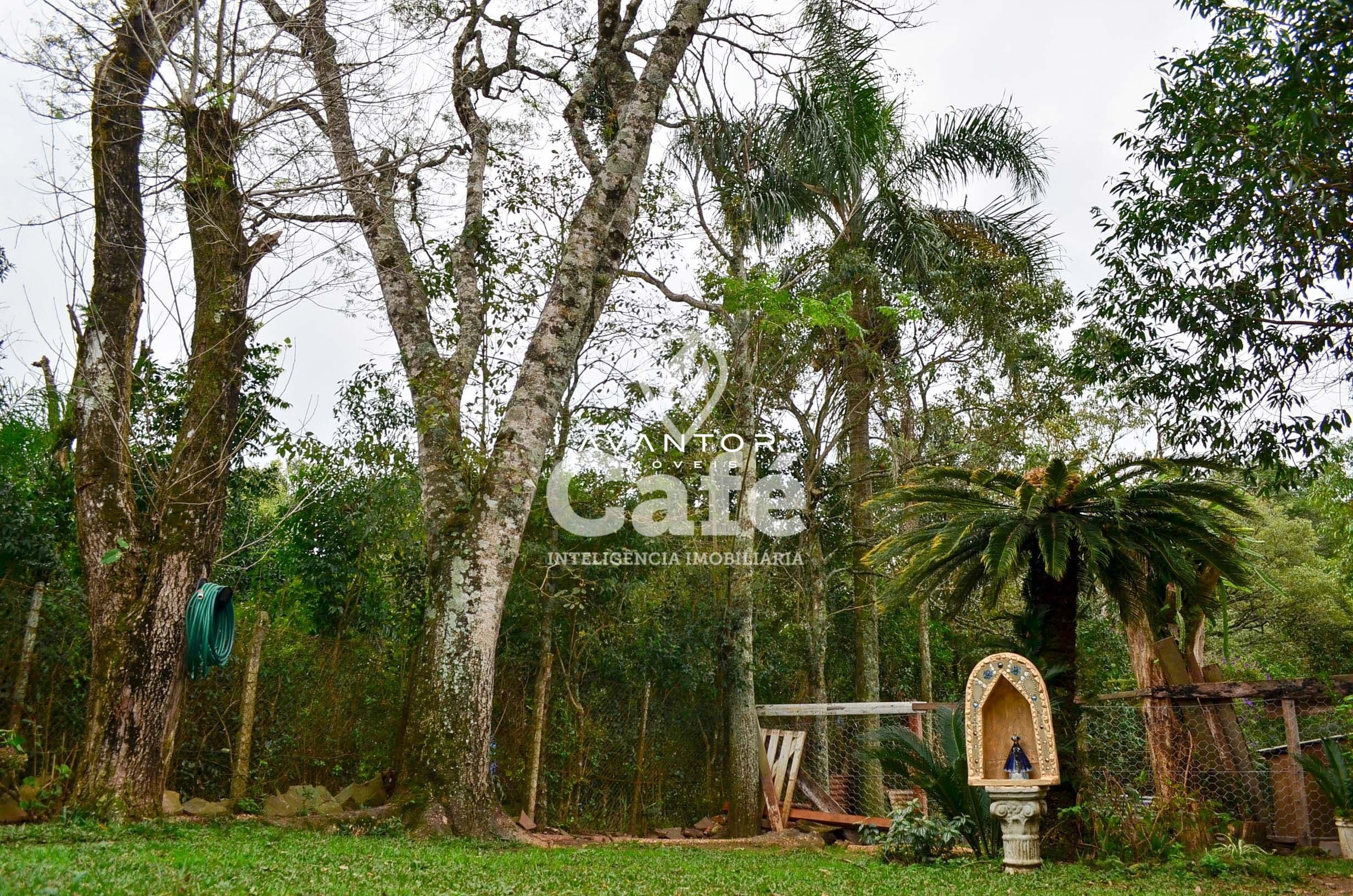Casa com 3 quartos à venda em Novo Pinhal, Itaara/RS — foto 15 de 21
