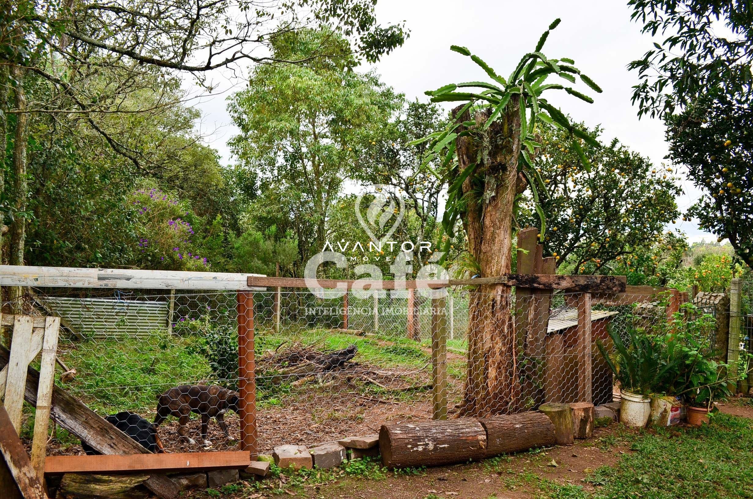 Casa com 3 quartos à venda em Novo Pinhal, Itaara/RS — foto 16 de 21