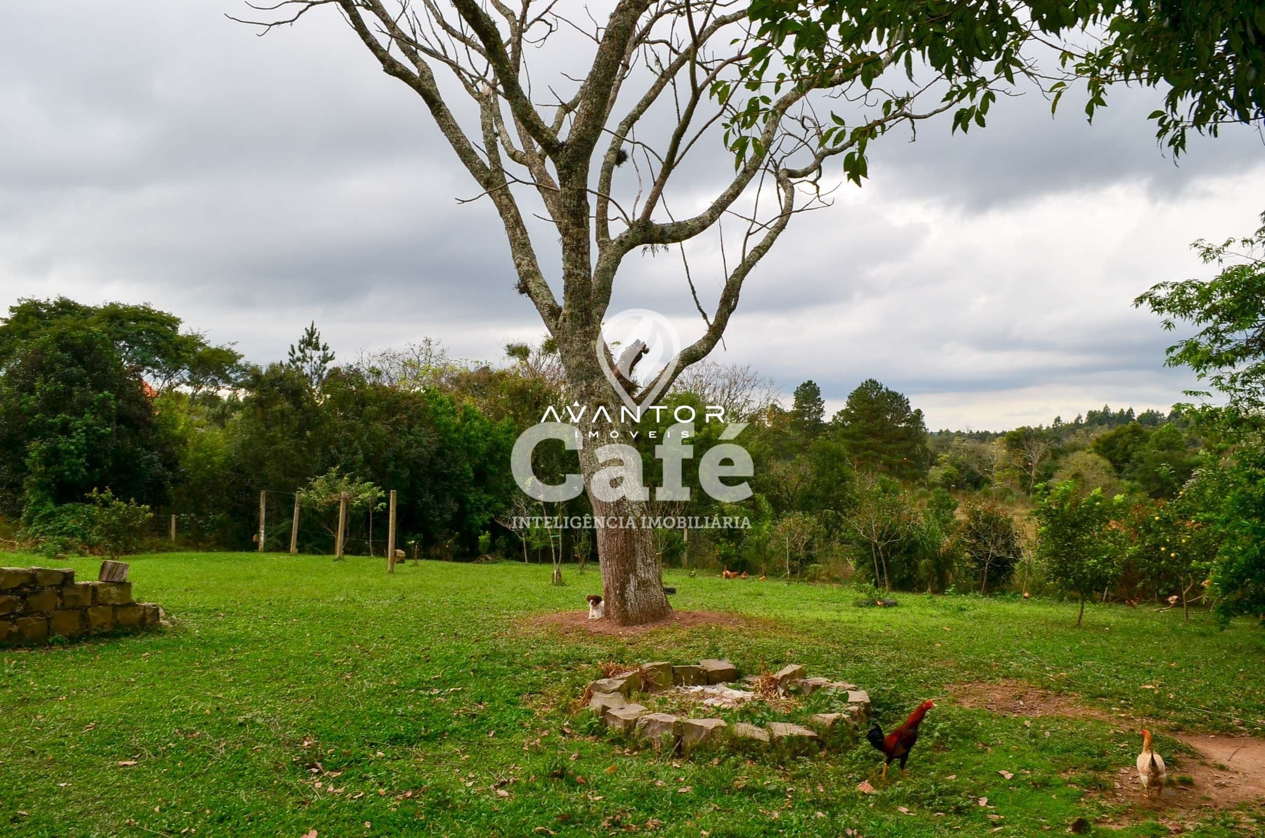 Casa com 3 quartos à venda em Novo Pinhal, Itaara/RS — foto 21 de 21