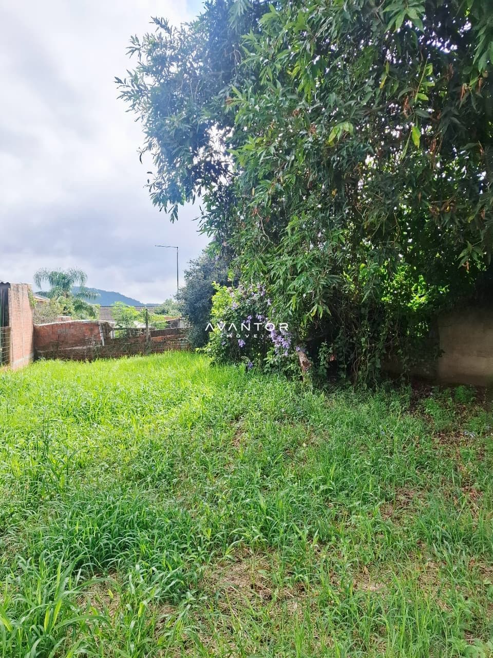 Terreno à venda em Camobi, Santa Maria/RS — foto 5 de 5