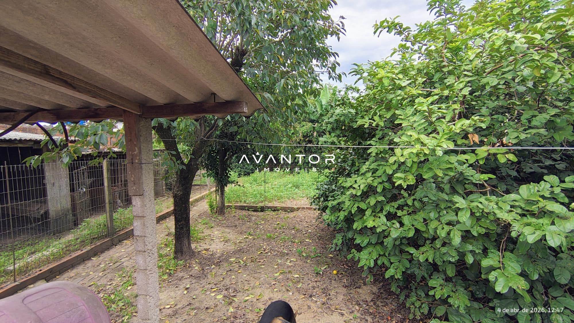 Casa com 2 quartos à venda em Pinheiro Machado, Santa Maria/RS — foto 11 de 12