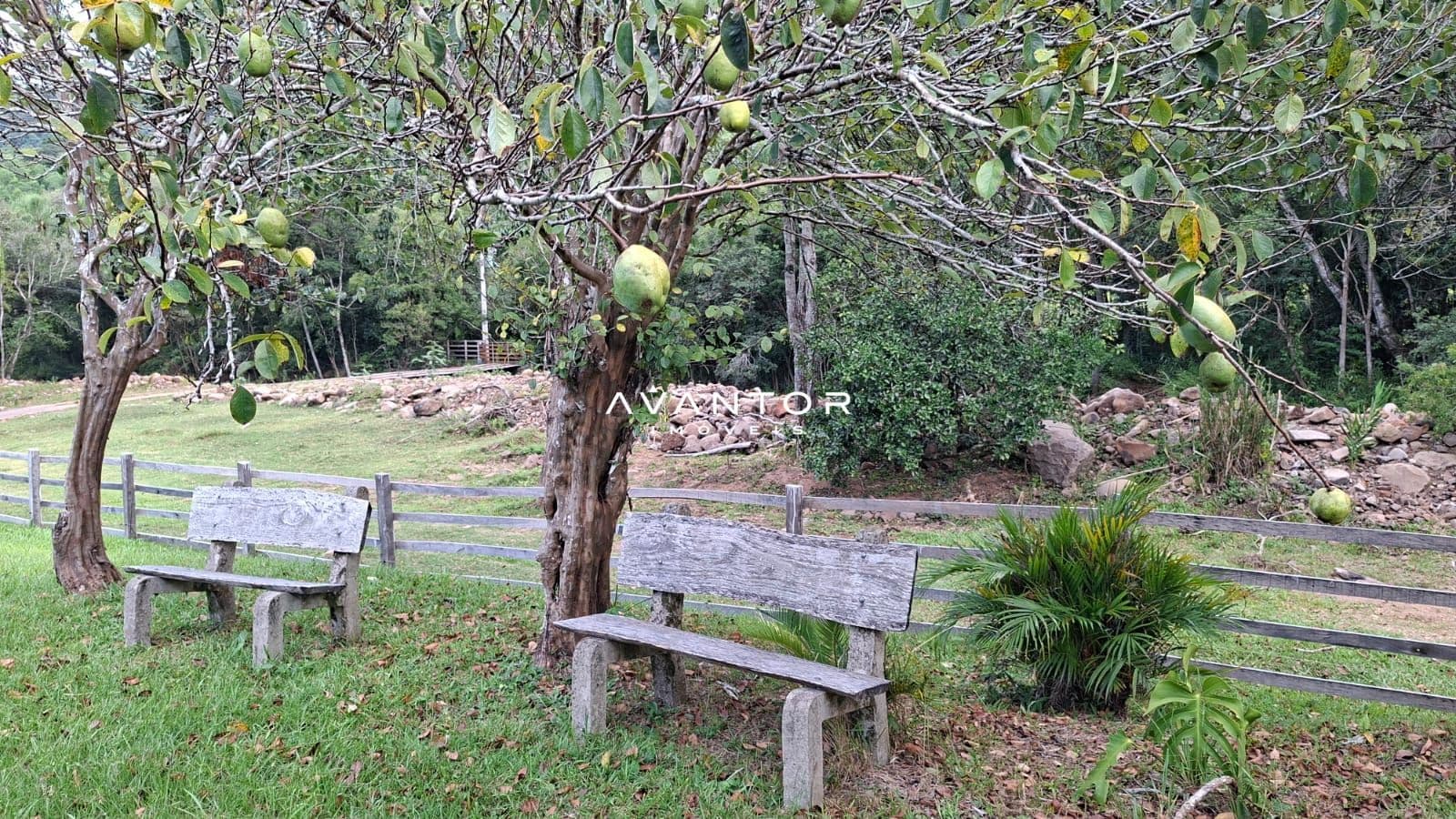 Chácara com 3 quartos à venda em Rincão dos Minelo, Itaara/RS — foto 8 de 25