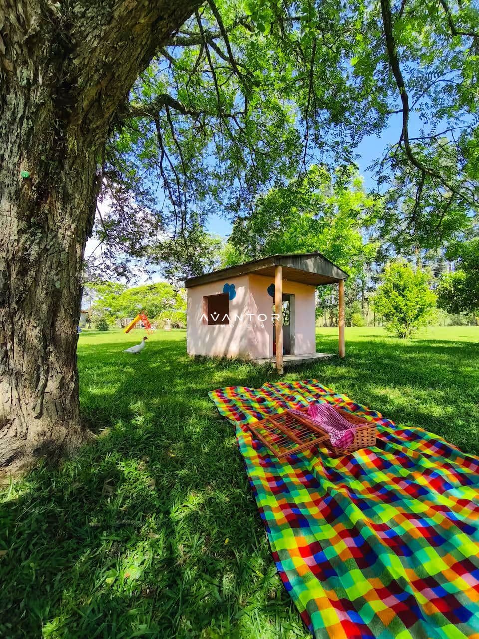 Chácara com 3 quartos à venda em Zona rural, São Martinho da Serra/RS — foto 2 de 26